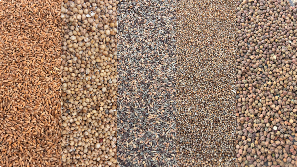 Multigrain: Why These Five Grains Together Create a Superior Everyday Flour