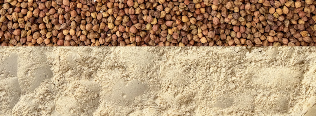 high protein roasted Chana for Chana Sattu