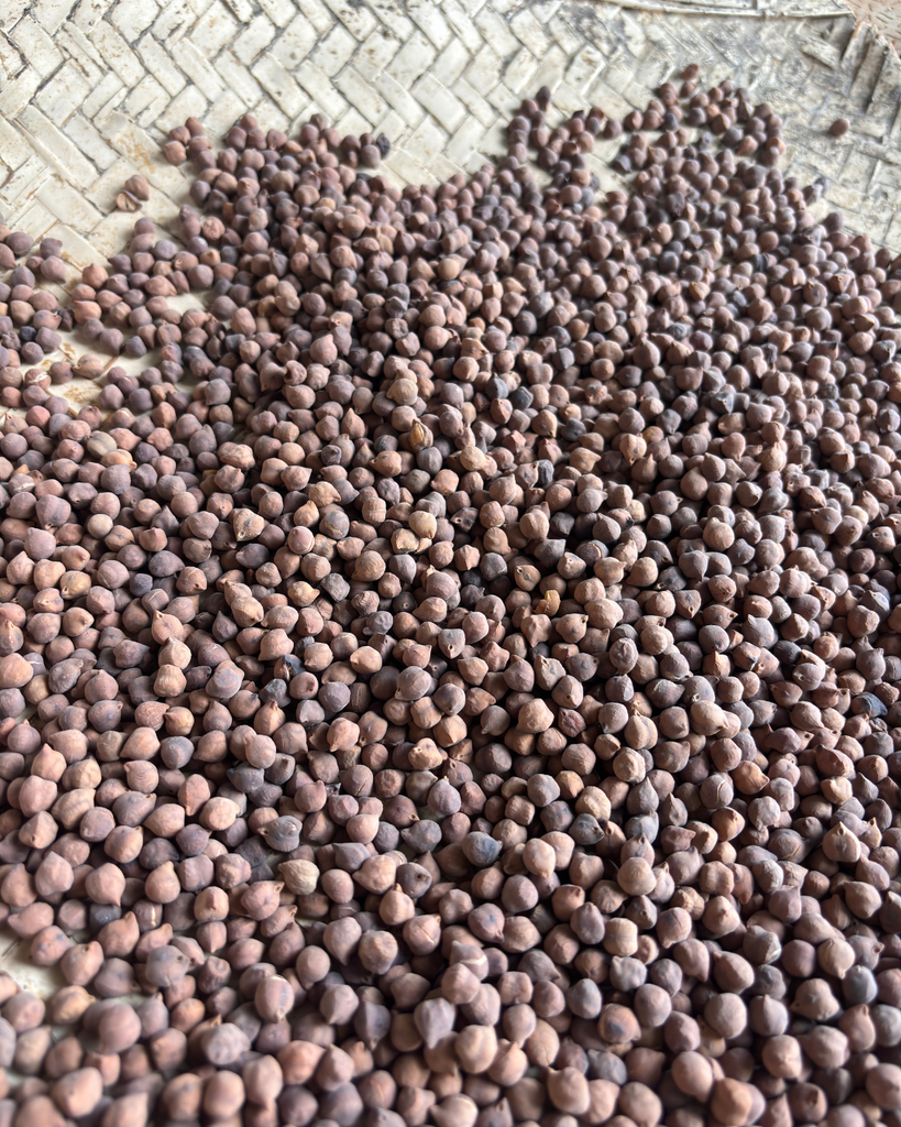 What is Chana Sattu?