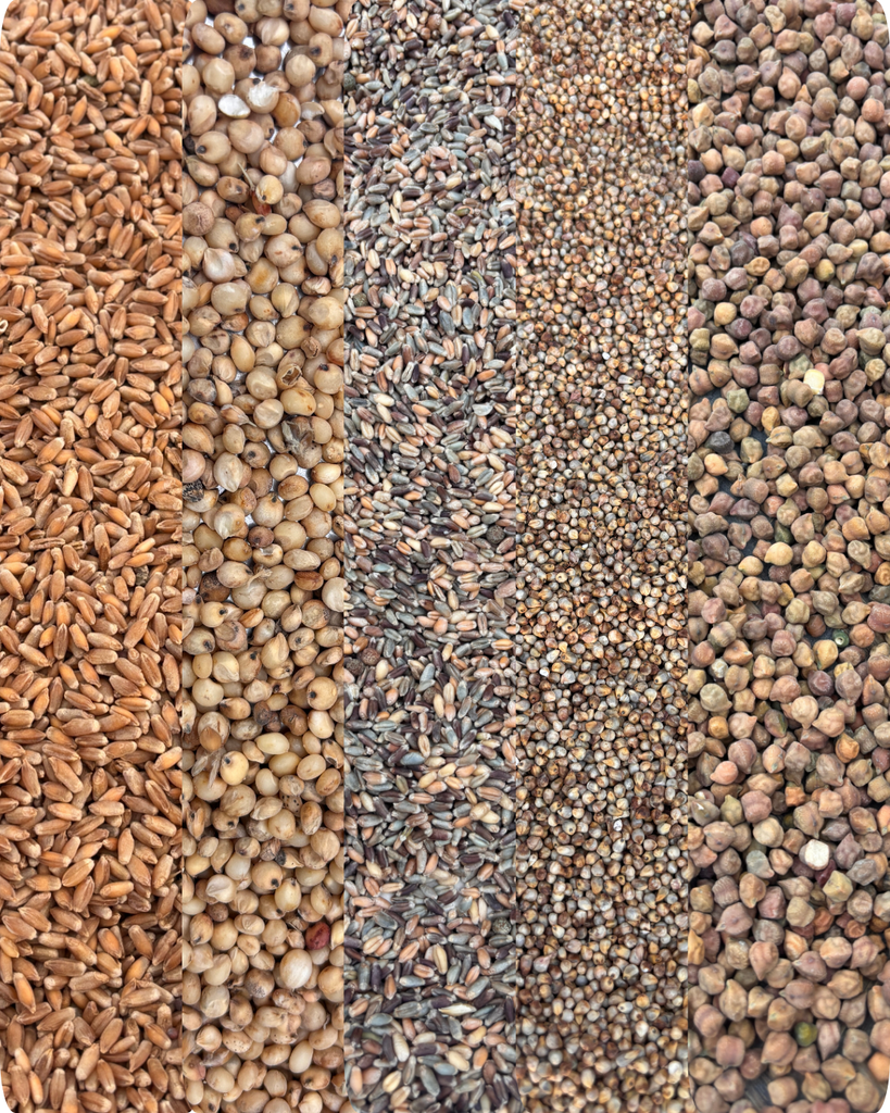 blend of the 5 nutrient rich whole grain for the healthy atta 
